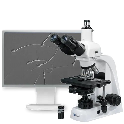 Микроскоп для изучения сперматозоидов MT5200 / MT5300