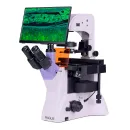 Микроскоп люминесцентный инвертированный цифровой MAGUS Lum VD500L LCD Микроскоп люминесцентный инвертированный цифровой MAGUS Lum VD500L LCD
