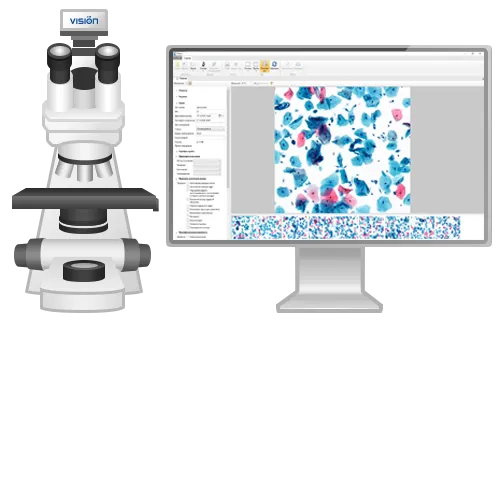 Визуализация и организация цитологических исследований Vision Cyto Basic