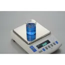 Лабораторные весы VIBRA LN 4202CE Shinko